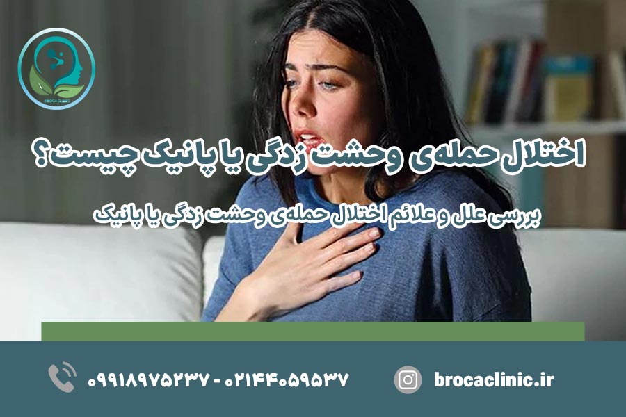حمله‌ی وحشت‌زدگی یا پانیک